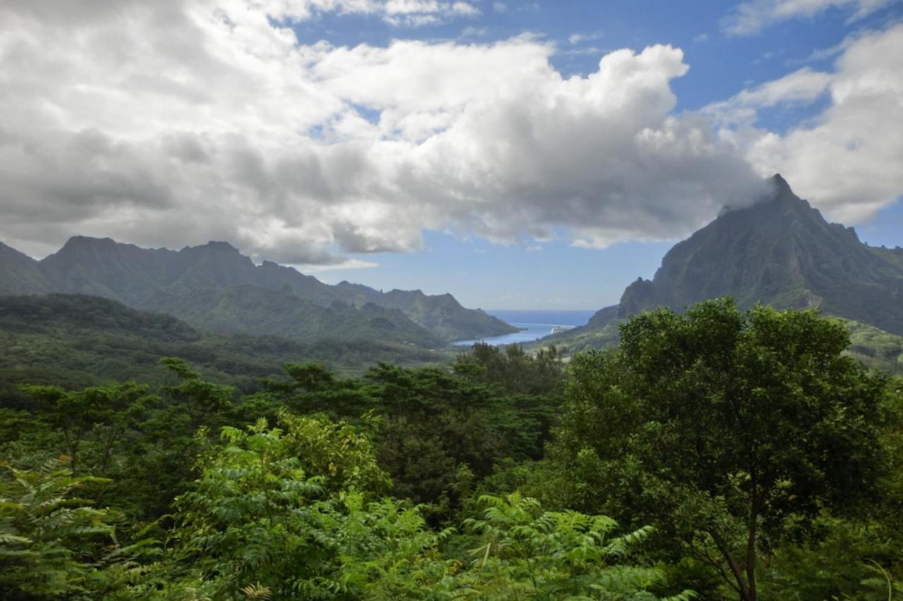哈皮蒂Auti Studio Direct Access To The Beach On Moorea With Ac -Wifi - Netflix公寓 外观 照片