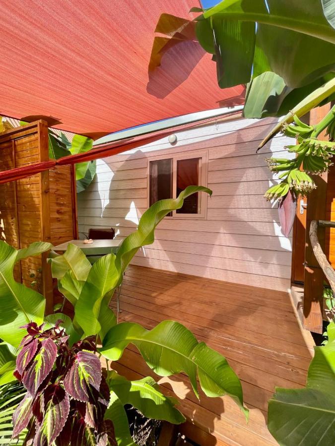 哈皮蒂Auti Studio Direct Access To The Beach On Moorea With Ac -Wifi - Netflix公寓 外观 照片